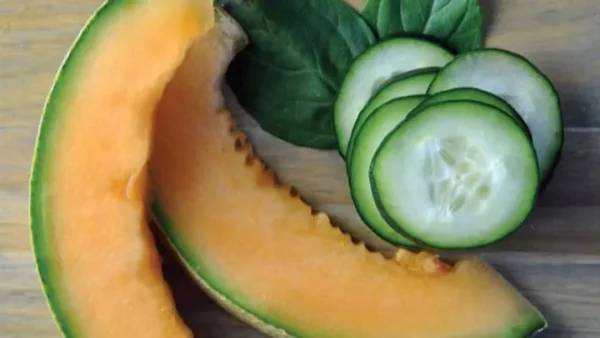 Cucumber & Melon BBW Type