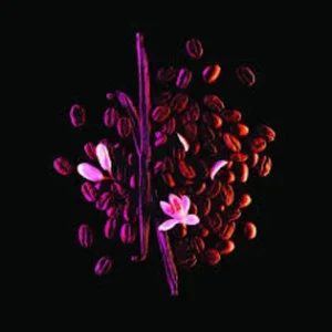 Black Opium Neon Type