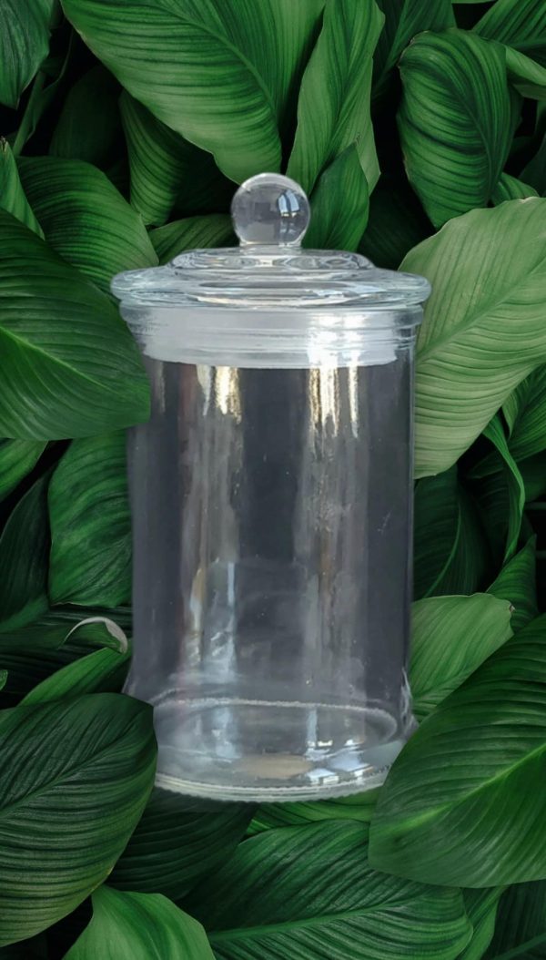 Danube Style Knob Lid - Clear