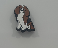 Cavalier