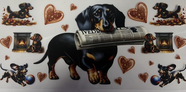Newspaper Dachshund