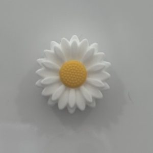 White Sunflower