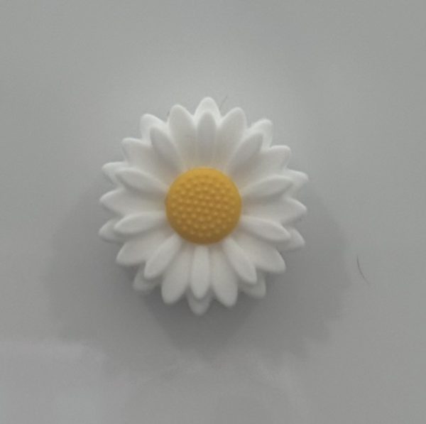 White Sunflower