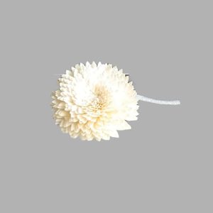 Sola #1 Diffuser Reed 8cm