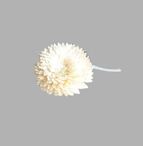 Sola #1 Diffuser Reed 8cm