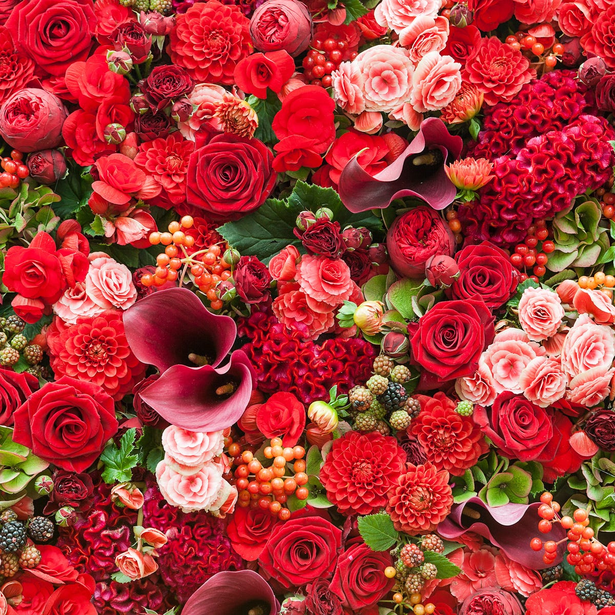 Freesia & Summer Berries *Luxaroma*