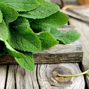 Fresh Sage & Driftwood *Luxaroma*