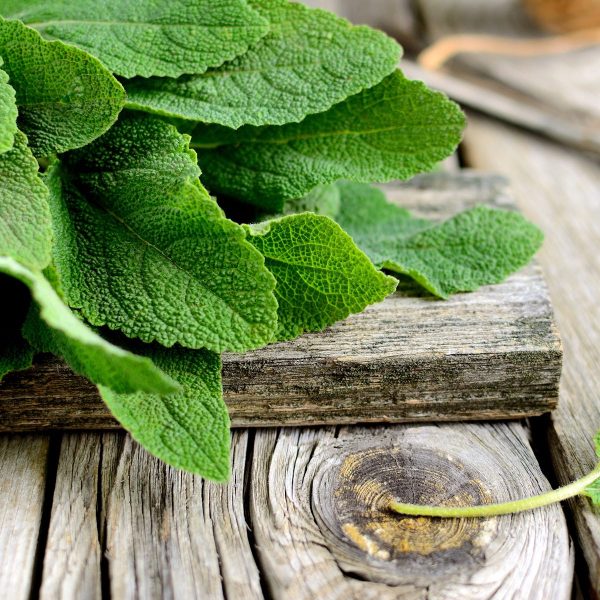 Fresh Sage & Driftwood *Luxaroma*