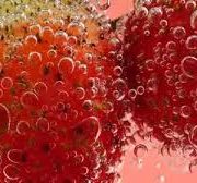 Bubbles & Strawberries Type