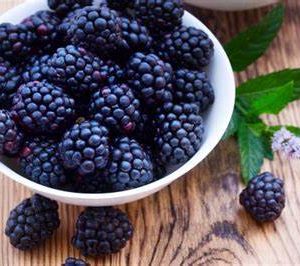 Black Raspberry