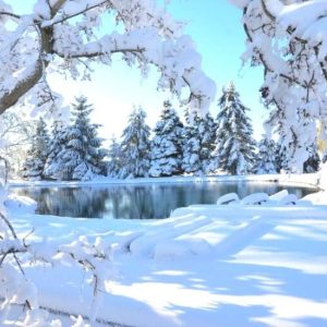 Winter Wonderland (Peppered Cream)