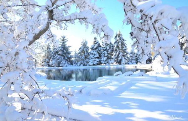 Winter Wonderland (Peppered Cream)