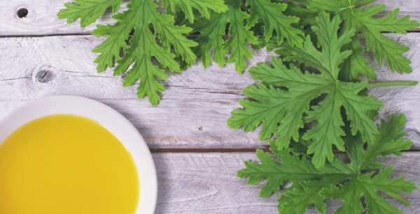 Citronella