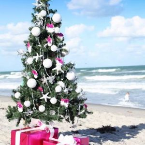 Christmas Breeze
