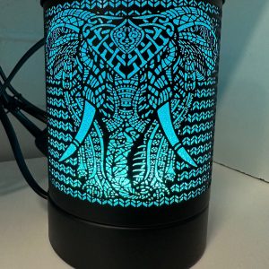 African King Black