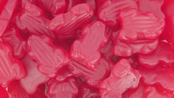 Red Frogs