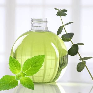 Eucalyptus & Spearmint