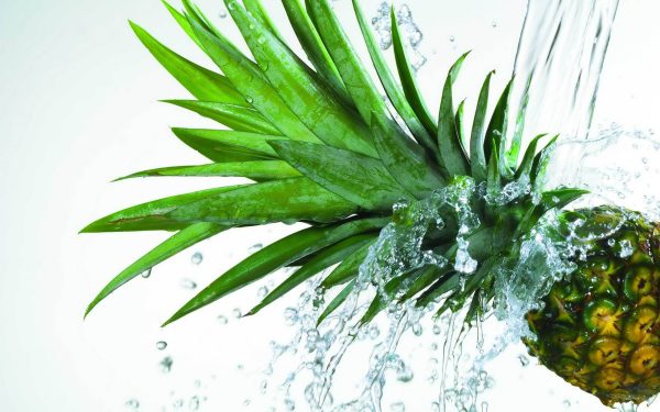 Pineapple Blast ( New Version)