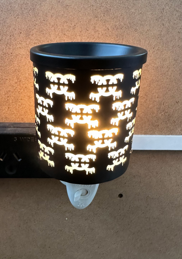 Replacement globes for Plug in power point burners