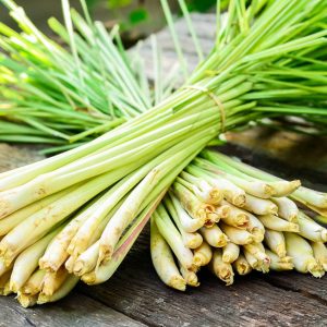 Lemongrass