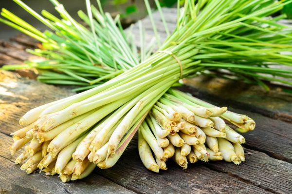 Lemongrass