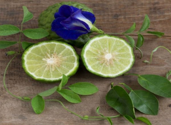 Bergamot & Patchouli