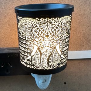 African King Black Plug In