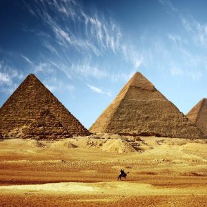 Egyptian Musk