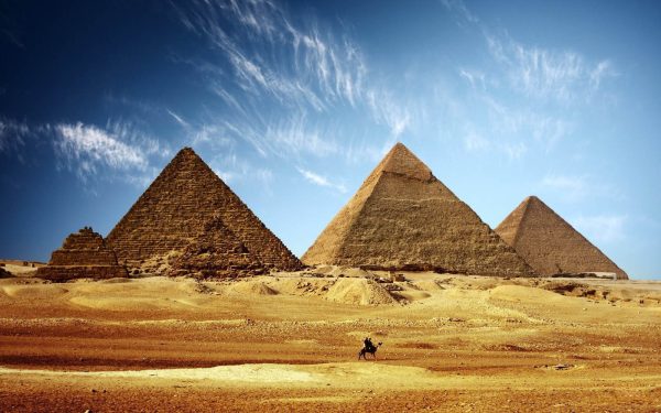 Egyptian Musk