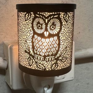 Black Hoot Plug In