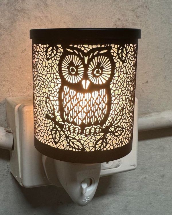 Black Hoot Plug In