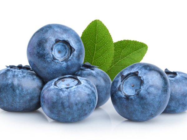 Blueberry