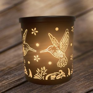 Humming Bird Plug In