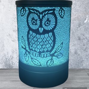 Black Hoot