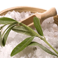 Sea Salt & Sage