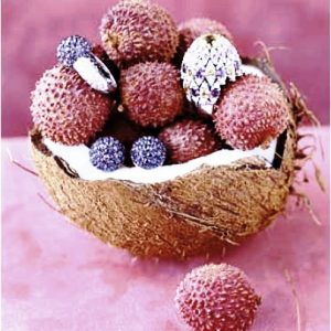 Coconut & Lychee
