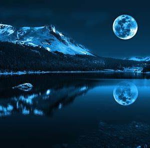Moon Lake Musk