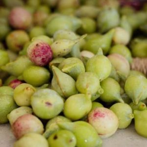 Sweet Kakadu Plum