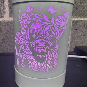 The Daisy Cow